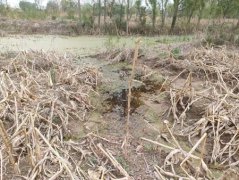 邻村挖坑影响村民土地耕种，镇领导让其去找联合国