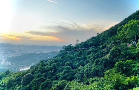 1-250222151000553 1-250222151000553