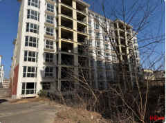 企业2600万元竞得法拍土地使用权和在建房产，被查封五年无法“